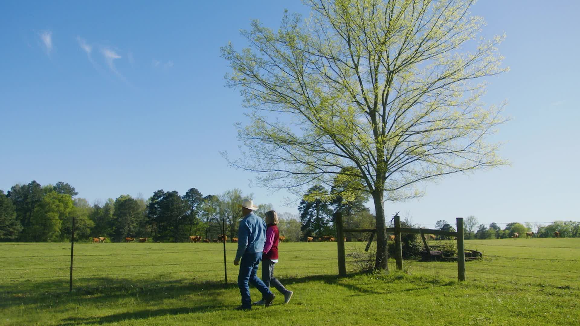 Thumbnail image for Texas Parks & Wildlife #3311