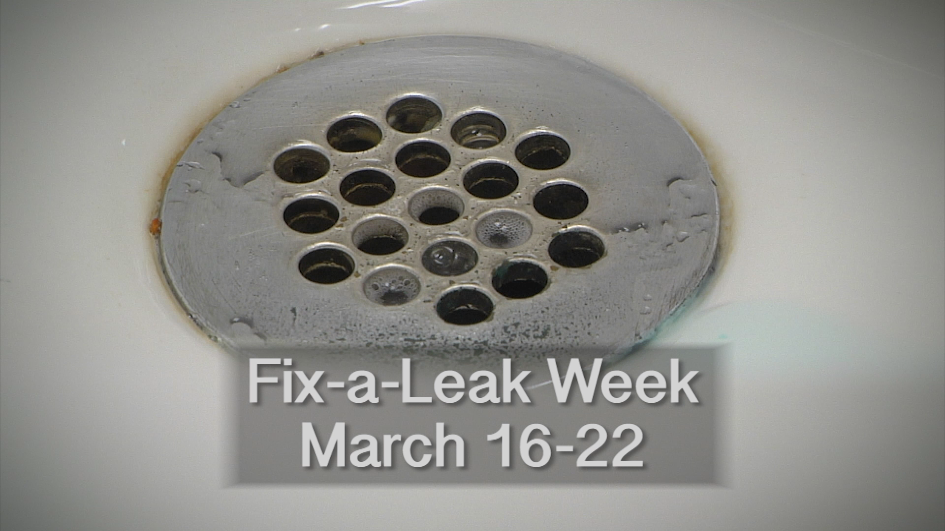 Thumbnail image for Fix-a-Leak Week