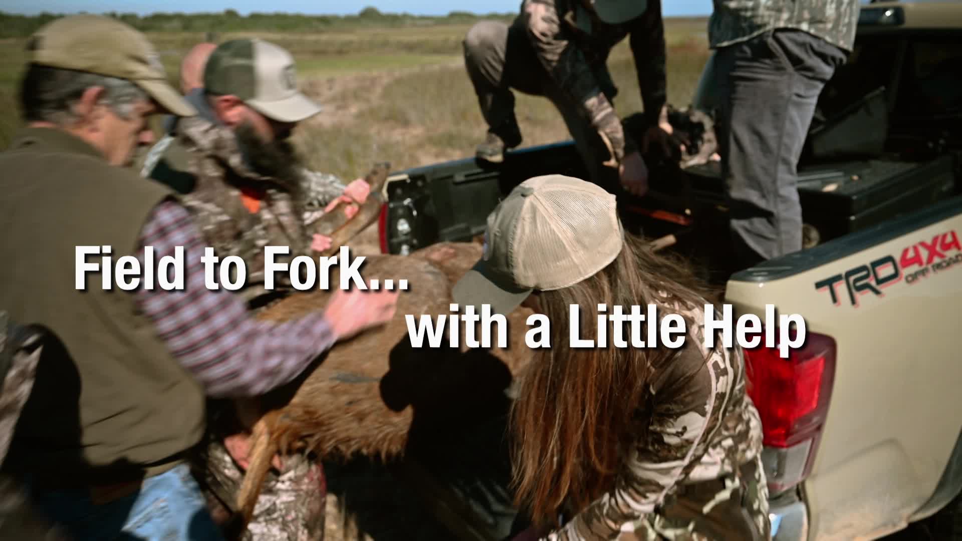 Thumbnail image for Texas Parks and Wildlife #3221
