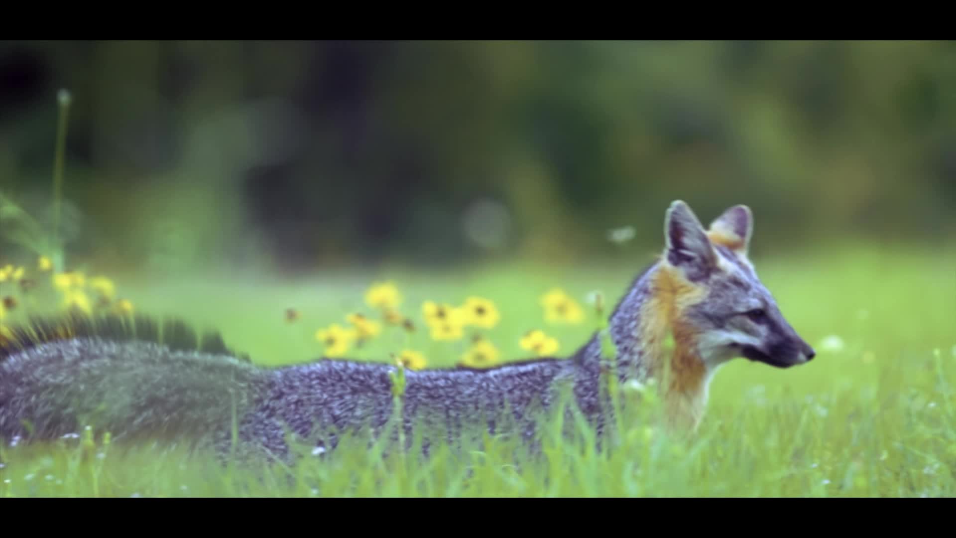 Thumbnail image for Texas Parks & Wildlife #3202